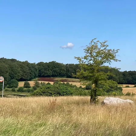 Lojt Village Lovely With Access To Pool, Aabenraa